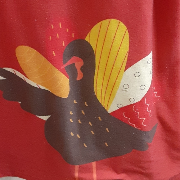 Thanksgiving girls dress - Picture 6 of 6